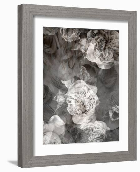 Poetic Photographic Layer Work Fromroses and Seashells in Monotone Colours-Alaya Gadeh-Framed Photographic Print