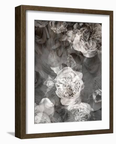 Poetic Photographic Layer Work Fromroses and Seashells in Monotone Colours-Alaya Gadeh-Framed Photographic Print