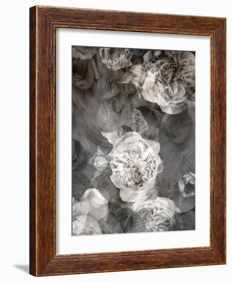 Poetic Photographic Layer Work Fromroses and Seashells in Monotone Colours-Alaya Gadeh-Framed Photographic Print