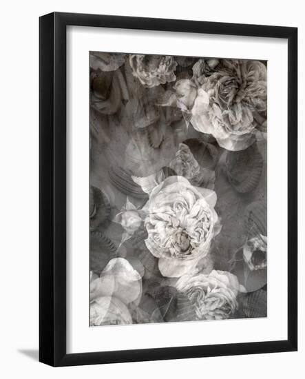 Poetic Photographic Layer Work Fromroses and Seashells in Monotone Colours-Alaya Gadeh-Framed Photographic Print