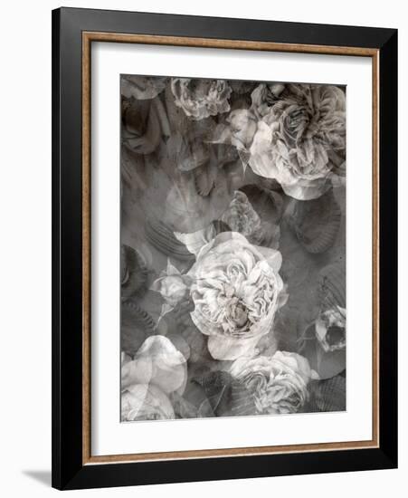 Poetic Photographic Layer Work Fromroses and Seashells in Monotone Colours-Alaya Gadeh-Framed Photographic Print