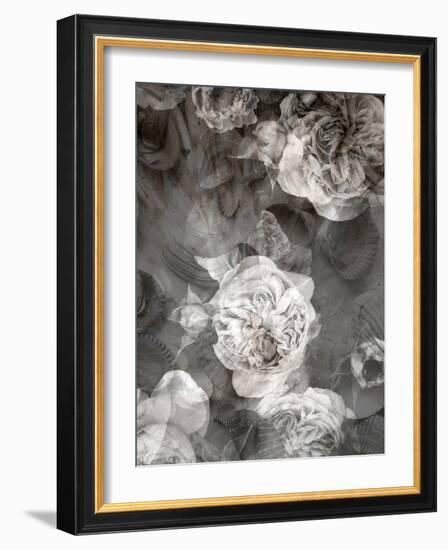 Poetic Photographic Layer Work Fromroses and Seashells in Monotone Colours-Alaya Gadeh-Framed Photographic Print