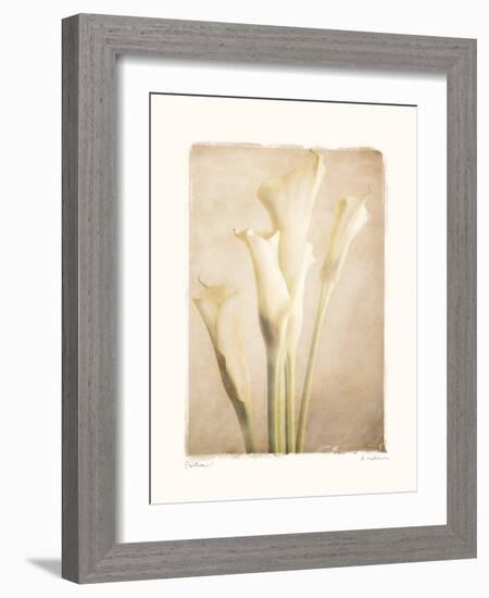 Poetica I-Amy Melious-Framed Art Print