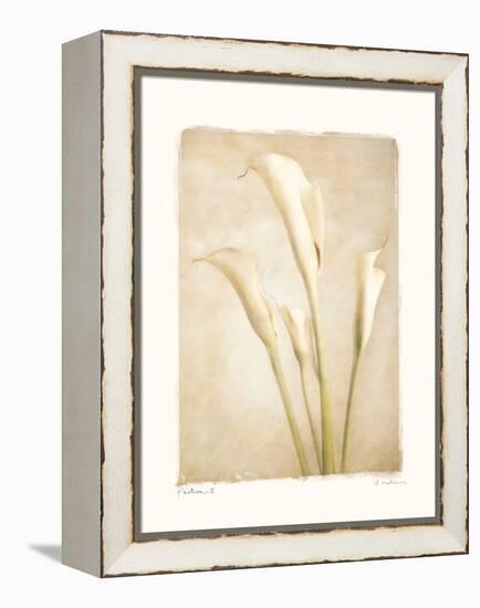 Poetica II-Amy Melious-Framed Stretched Canvas