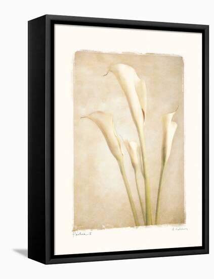 Poetica II-Amy Melious-Framed Stretched Canvas