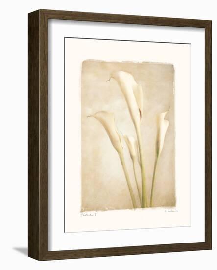 Poetica II-Amy Melious-Framed Art Print