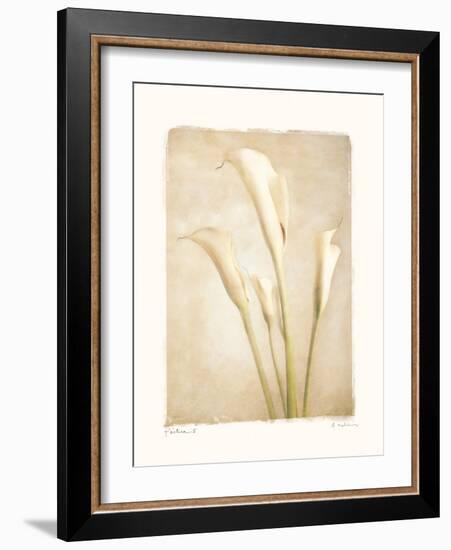 Poetica II-Amy Melious-Framed Art Print