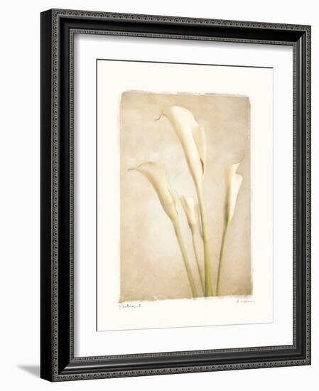 Poetica II-Amy Melious-Framed Art Print