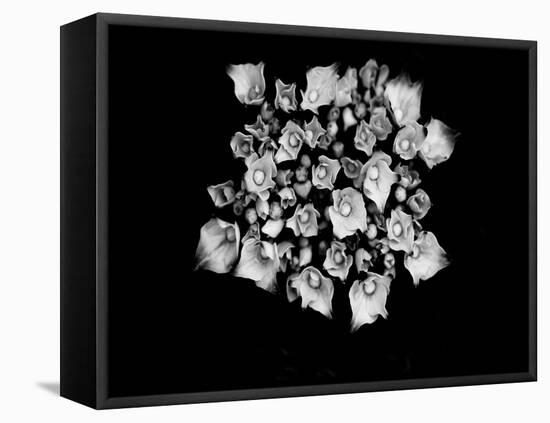 Poetry III-Tang Ling-Framed Premier Image Canvas