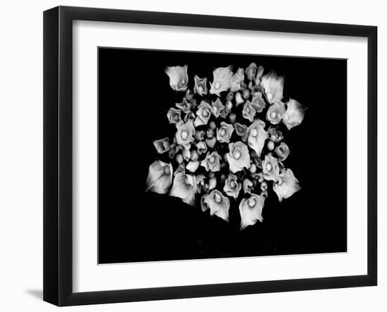 Poetry III-Tang Ling-Framed Photographic Print