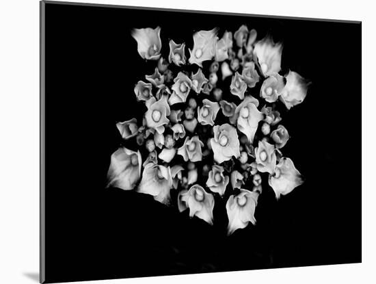 Poetry III-Tang Ling-Mounted Photographic Print