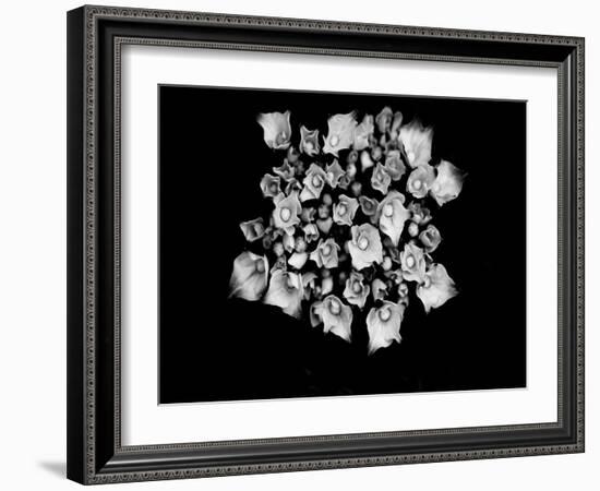 Poetry III-Tang Ling-Framed Photographic Print