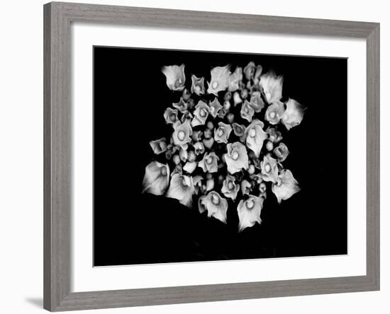 Poetry III-Tang Ling-Framed Photographic Print