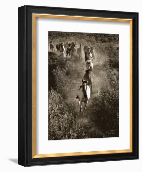 Poetry in Motion-Barry Hart-Framed Art Print