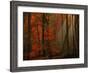 Poetry of Colors-Philippe Sainte-Laudy-Framed Photographic Print