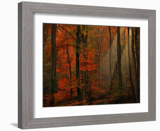 Poetry of Colors-Philippe Sainte-Laudy-Framed Photographic Print