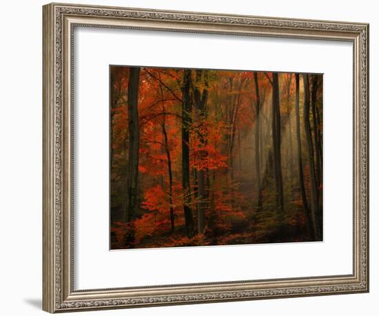 Poetry of Colors-Philippe Sainte-Laudy-Framed Photographic Print