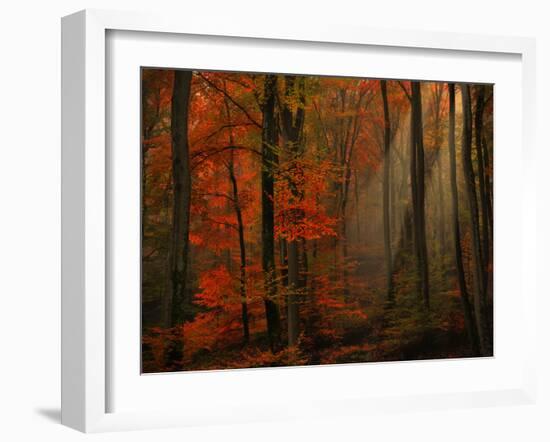 Poetry of Colors-Philippe Sainte-Laudy-Framed Photographic Print