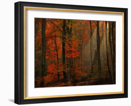 Poetry of Colors-Philippe Sainte-Laudy-Framed Photographic Print