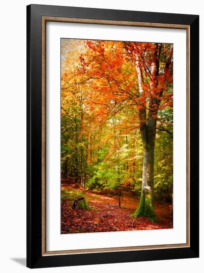 Poets of the Fall-Philippe Sainte-Laudy-Framed Photographic Print