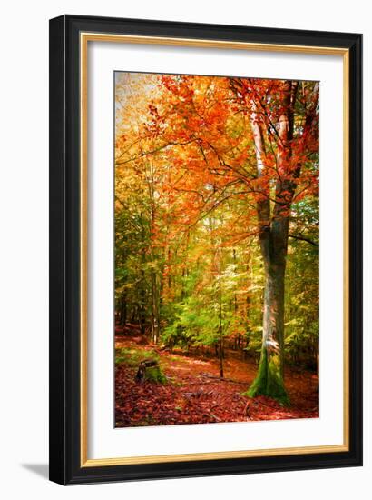 Poets of the Fall-Philippe Sainte-Laudy-Framed Photographic Print