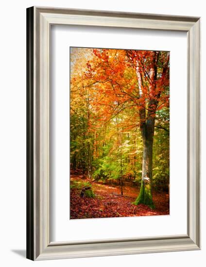 Poets of the Fall-Philippe Sainte-Laudy-Framed Photographic Print