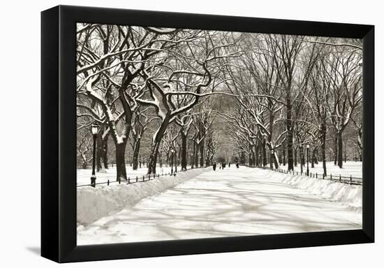 Poets Walk-Chris Bliss-Framed Premier Image Canvas