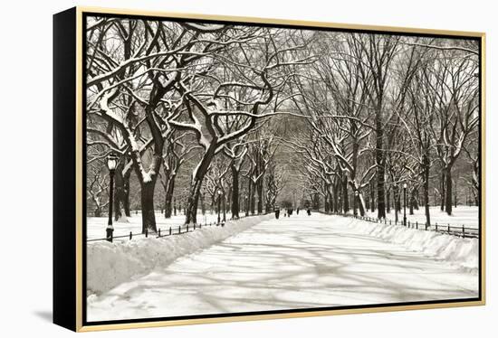 Poets Walk-Chris Bliss-Framed Premier Image Canvas