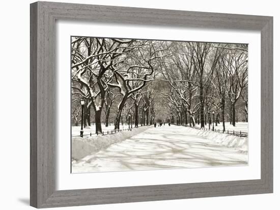 Poets Walk-Chris Bliss-Framed Photographic Print