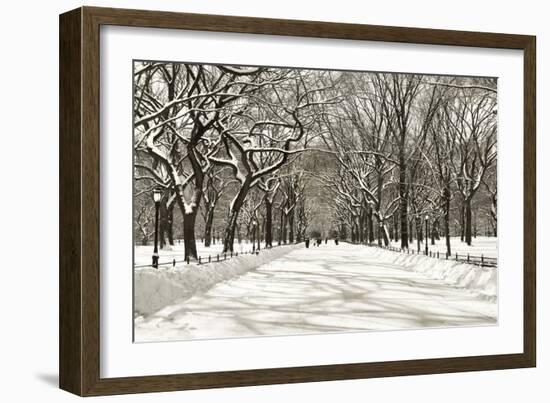 Poets Walk-Chris Bliss-Framed Photographic Print