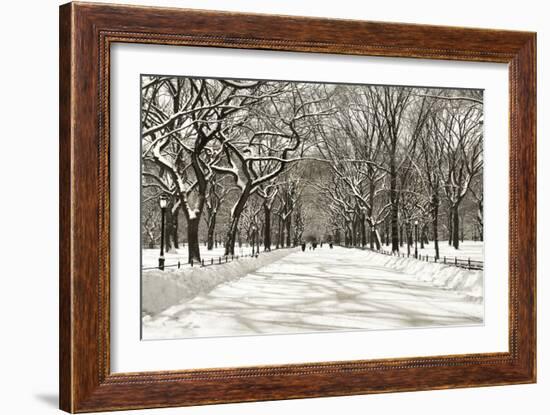 Poets Walk-Chris Bliss-Framed Photographic Print