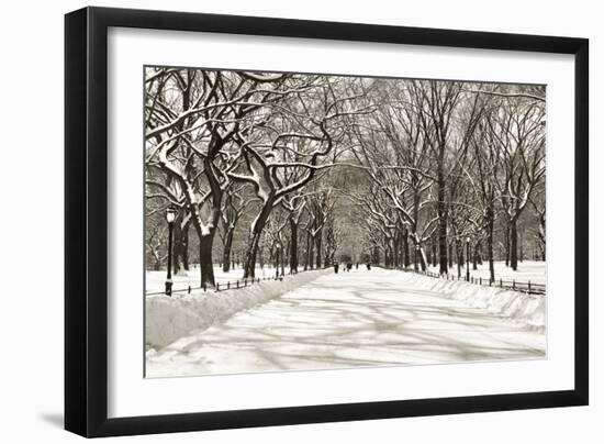 Poets Walk-Chris Bliss-Framed Photographic Print