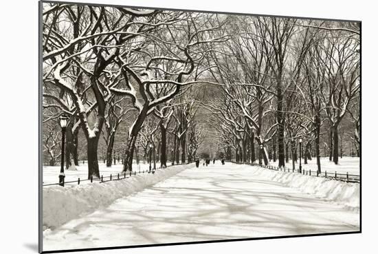 Poets Walk-Chris Bliss-Mounted Photographic Print