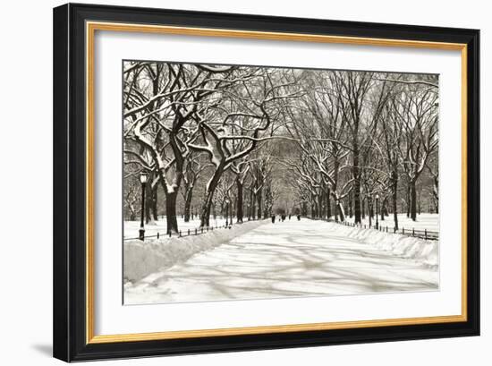 Poets Walk-Chris Bliss-Framed Photographic Print