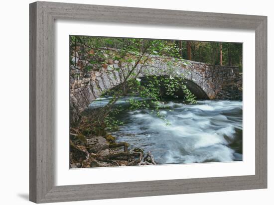 Pohono Bridge and Dogwoods, Yosemite National Park-Vincent James-Framed Photographic Print