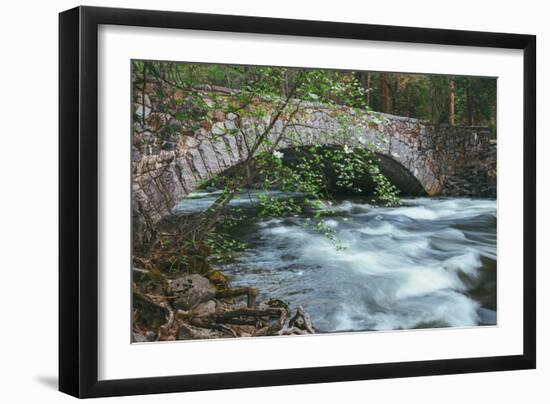 Pohono Bridge and Dogwoods, Yosemite National Park-Vincent James-Framed Photographic Print