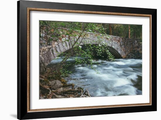 Pohono Bridge and Dogwoods, Yosemite National Park-Vincent James-Framed Photographic Print