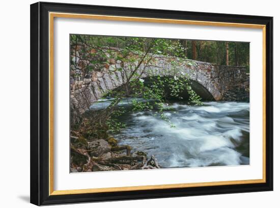 Pohono Bridge and Dogwoods, Yosemite National Park-Vincent James-Framed Photographic Print