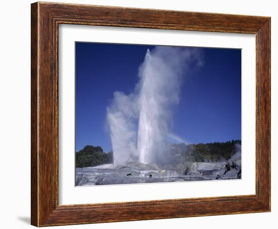 Pohutu Geyser at Whakarewarewa, Rotorua, South Auckland, North Island, New Zealand, Pacific-Desmond Harney-Framed Photographic Print