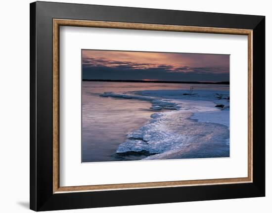 Pohutu Geyser New Zealand-null-Framed Art Print