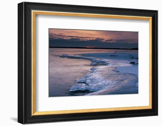 Pohutu Geyser New Zealand-null-Framed Art Print