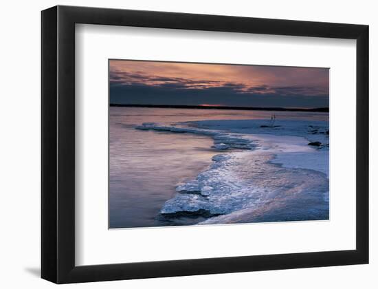 Pohutu Geyser New Zealand-null-Framed Art Print