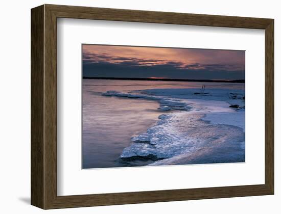 Pohutu Geyser New Zealand-null-Framed Art Print