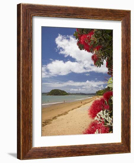 Pohutukawa Tree and Beach, Paihia, Bay of Islands, Northland, North Island, New Zealand-David Wall-Framed Photographic Print