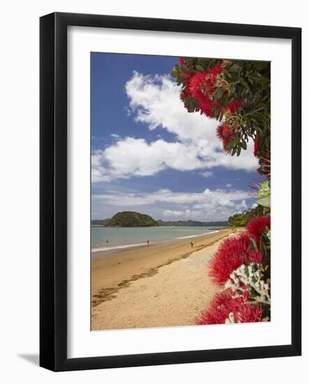 Pohutukawa Tree and Beach, Paihia, Bay of Islands, Northland, North Island, New Zealand-David Wall-Framed Photographic Print