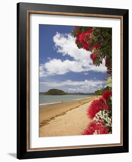 Pohutukawa Tree and Beach, Paihia, Bay of Islands, Northland, North Island, New Zealand-David Wall-Framed Photographic Print