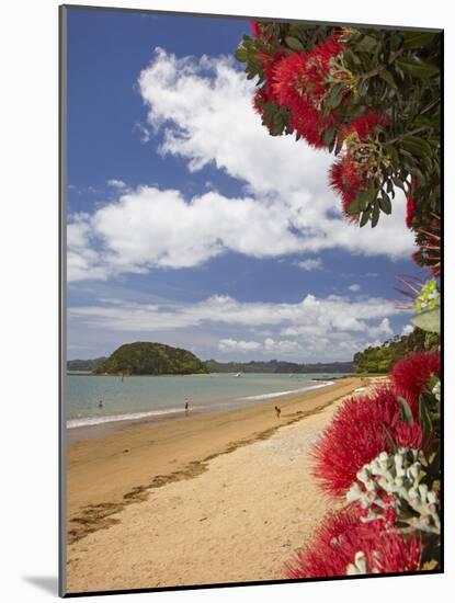 Pohutukawa Tree and Beach, Paihia, Bay of Islands, Northland, North Island, New Zealand-David Wall-Mounted Photographic Print