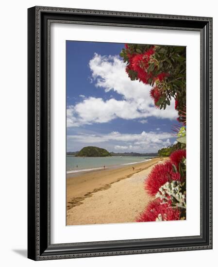 Pohutukawa Tree and Beach, Paihia, Bay of Islands, Northland, North Island, New Zealand-David Wall-Framed Photographic Print