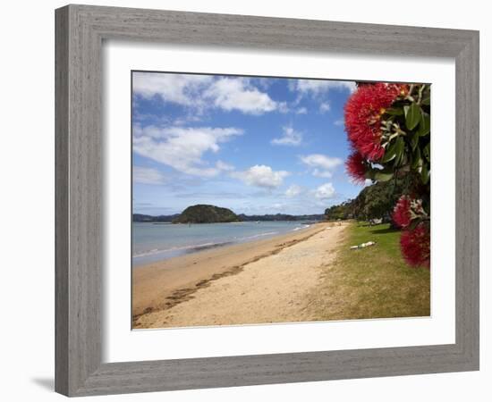 Pohutukawa Tree and Beach, Paihia, Bay of Islands, Northland, North Island, New Zealand-David Wall-Framed Photographic Print