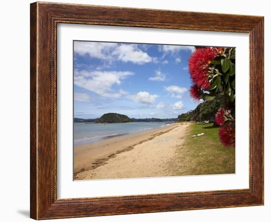 Pohutukawa Tree and Beach, Paihia, Bay of Islands, Northland, North Island, New Zealand-David Wall-Framed Photographic Print